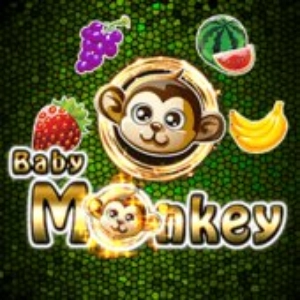 baby monkey 8day